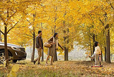 7月1日比武大会回归！《三国群英传8》公布预告视频