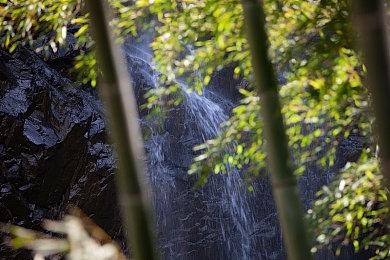 《王国之泪》Switch2不支持云存档？官方页面自相矛盾